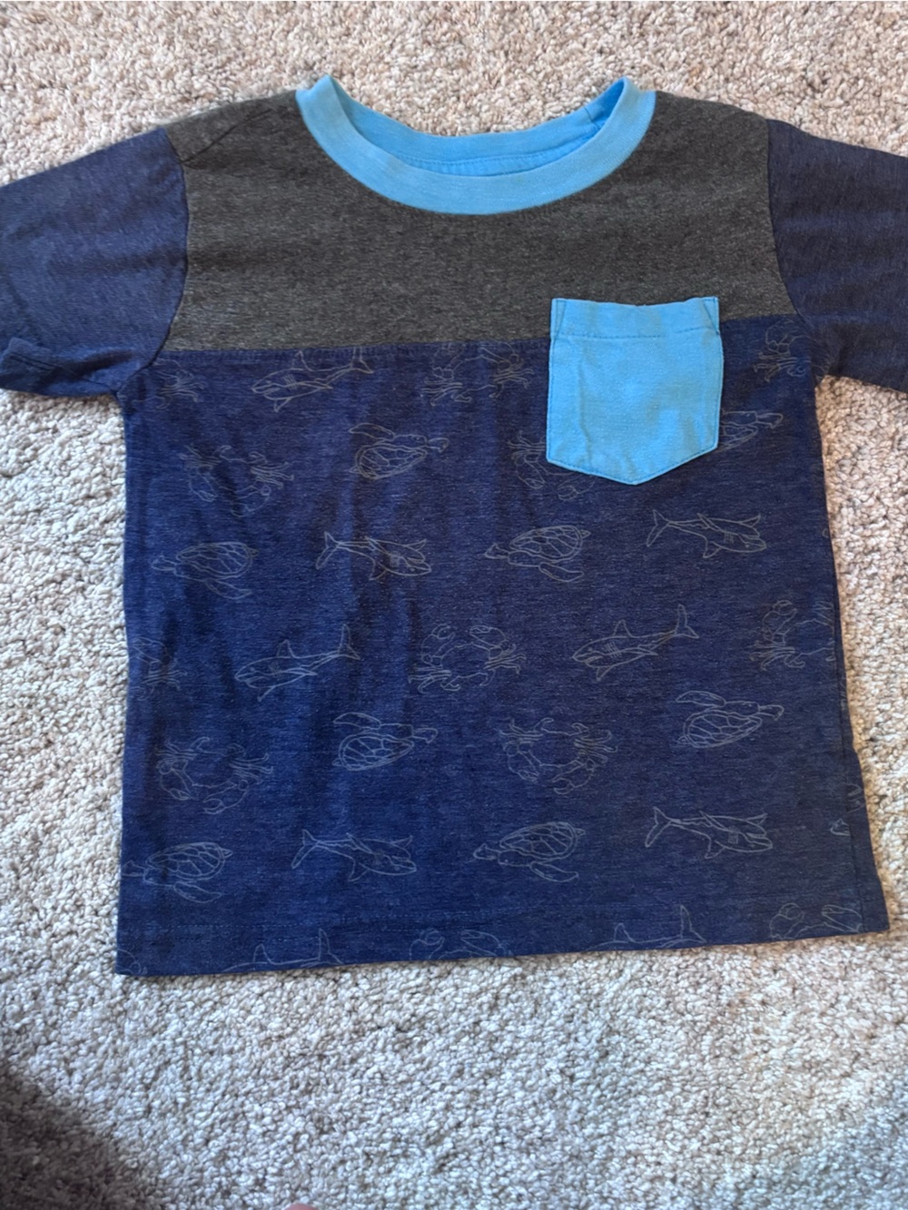 Lot of Boys 3T Clothing - Picture 6 of 16